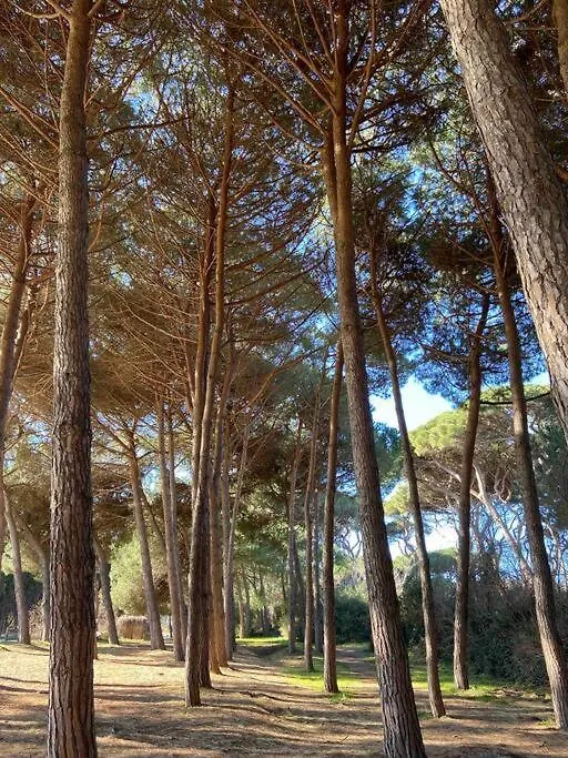 La Casa Di Lara Apartamento Piombino